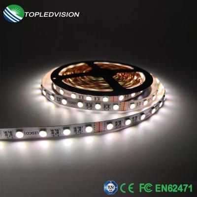 High Bright RGBW LED 19.2W/M Strip Light in Showcase