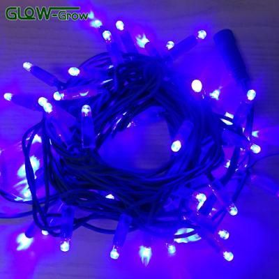 80LED 10m Christmas Professional Rubber Wire LED String Light for Dance, Stage, Garden Decoration