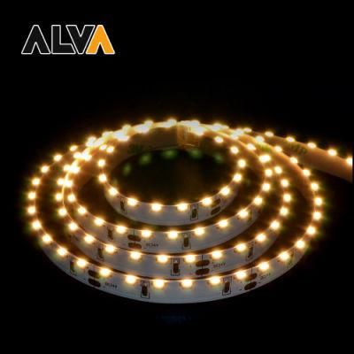 120PCS/M SMD3014 Flexible Rope Light 12V 24V LED Strip with TUV CE, IEC