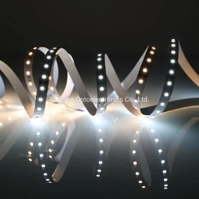 IP65 Silicon Spraying 60LEDs/M SMD2835 12V Flexible LED Strip Light