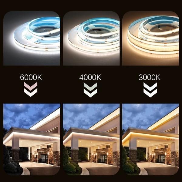 COB LED Strip Light High Intensity 12V 24V LED Light