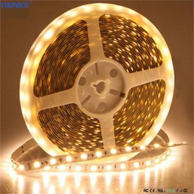 30m Long Cascading DC24V60LEDs/M LED Flexible Strip