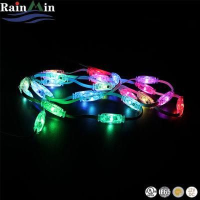 SMD5050 360degrees Waterproof IP65 12V RGB Curtain Light for Outdoor Decoration