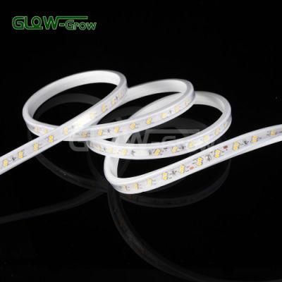 4000K Nature Whute 120V 50m IP65 700lm/M 120LEDs/M 2835 LED Strip Light