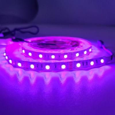 WiFi Connected Energy Saving Cx Lighting Different Colors LED Rope Light