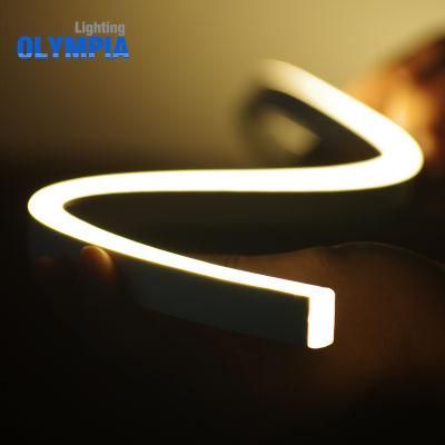 UV-Resistant IP68 LED Neon Flex Light