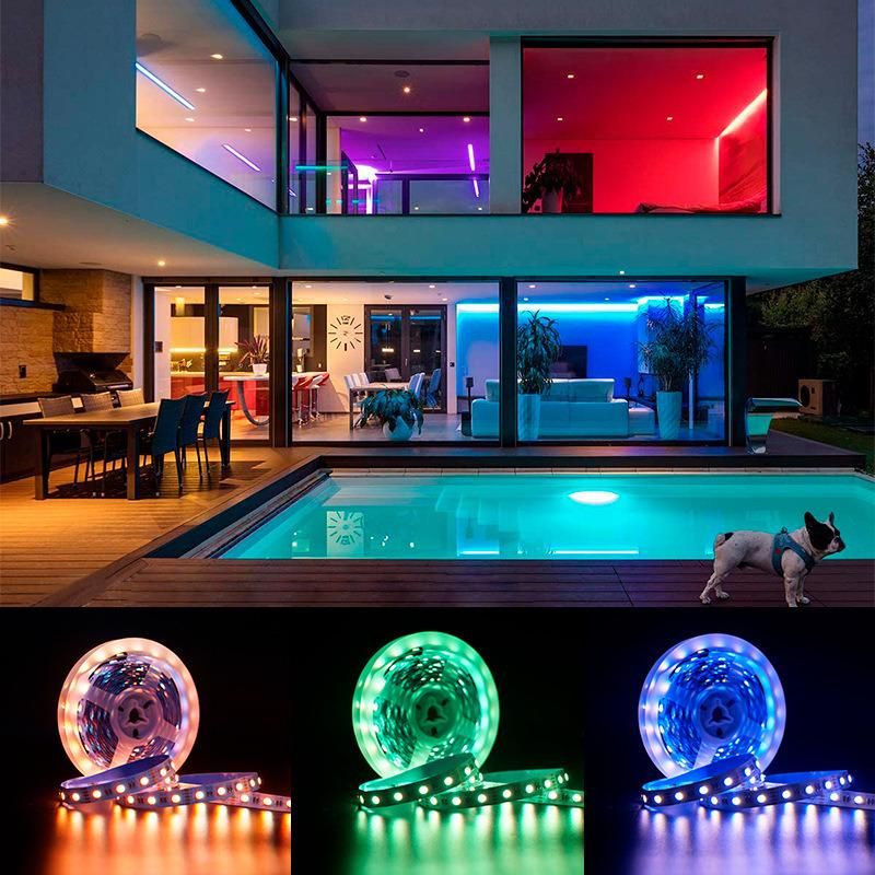 DC12V 5m LED Strip 5050 RGB, RGBW, Rgbww 60LEDs/M Flexible Strip