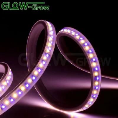 Factory Bar Decor 2835 230V 100m Warm White Blue LED Strip Lamp