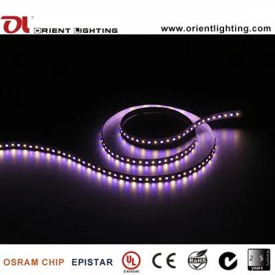UL Ce SMD 5060+2835 RGB+W Flexible Strip-96 LEDs/M 2700K LED Light