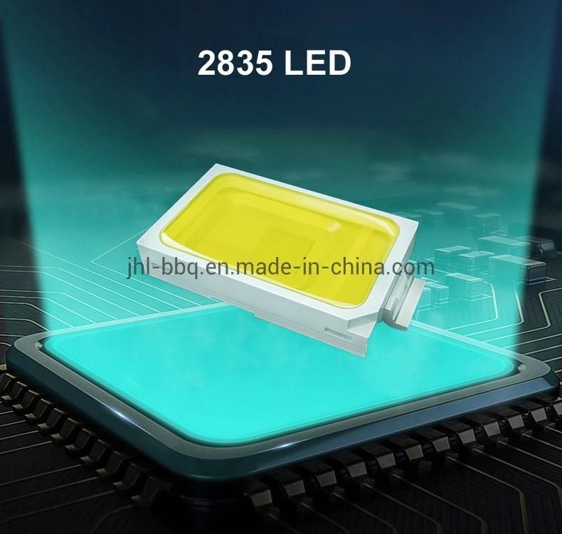 LED Strip Light 24V LED Light Strip 12V LED Lamp Belt LED Lamp Strip for Indoor Lightingwhite Color Beam Angle 120 Degree