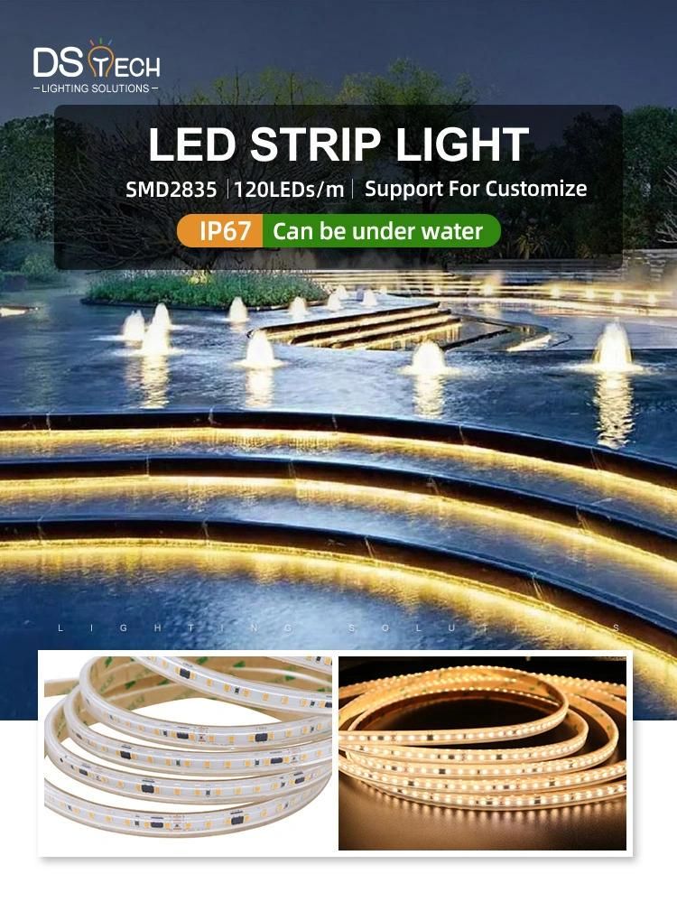 IP67 Outdoor Use Directly Connect AC Power AC200V to 240V High Voltage LED Strip Light