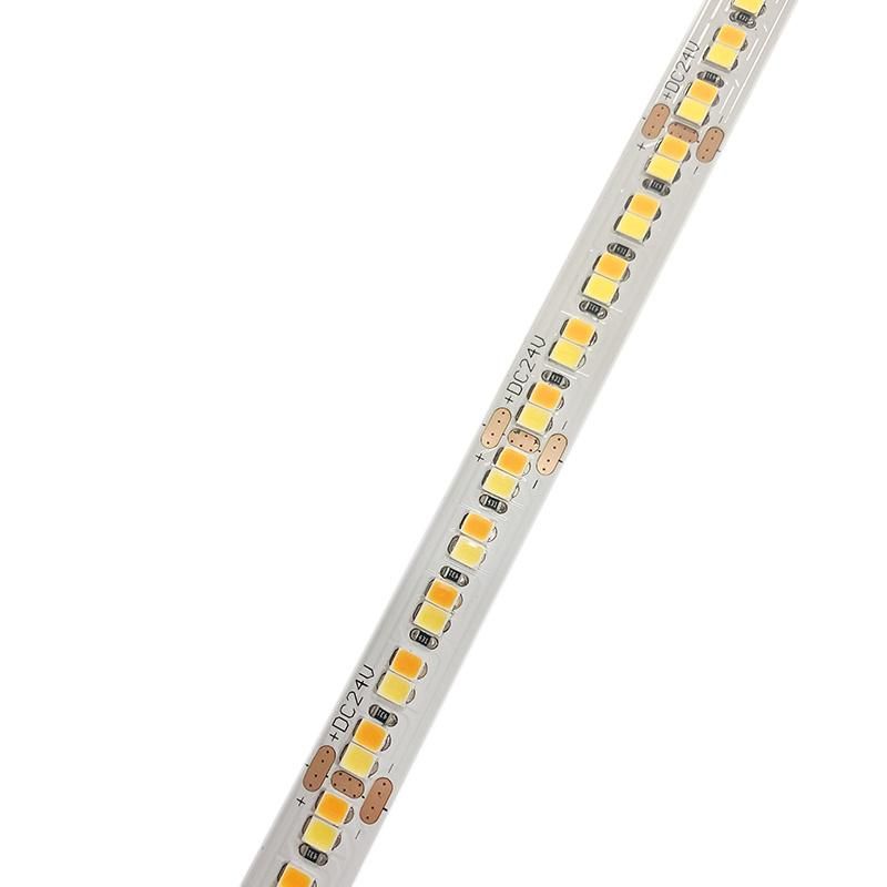 24V Led Strip 2835 Cct 10Mm Dual Led Strip Led Flexible Light