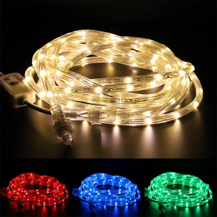 LED Neon Factory Supply for Outdoor Indoor Lighting RGB 220V LED Rope Light