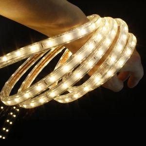 SMD3528 60LEDs High Voltage LED Strip Products Rope Light by Factory and Manufacturer