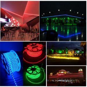 Ww/W/R/G/B/Y SMD5050 LED Strip Light High Voltage Home Decorative Light