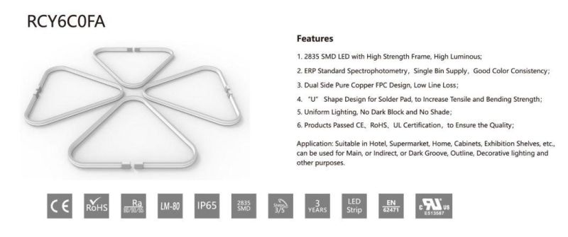 TUV-CE, UL Approved IP65 Neon LED Strips for LED Lighting