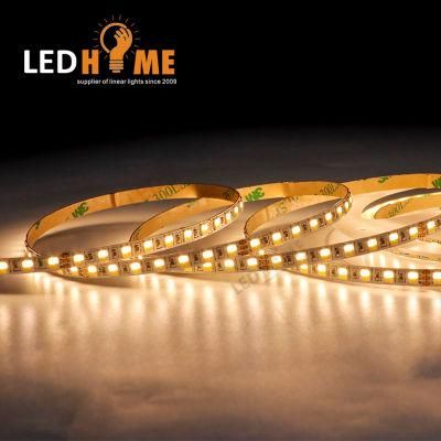5 Years Warranty SMD 2835 Double Color CCT Dimming 24V Waterproof Flexible LED Strip Light