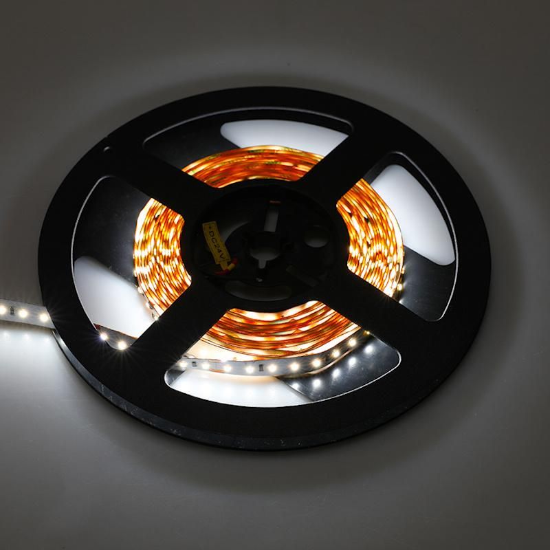 CRI90 Flexible LED 2216 LED Strip 5000K 24V Super Hot Sell Decoration Lighting