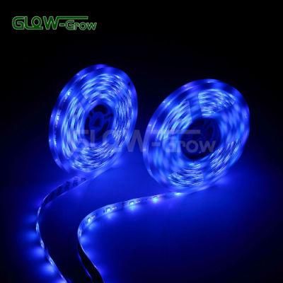 UL Approval Multi-Colored LED Tape Light RGB CCT Strip Light for Closet Decoration