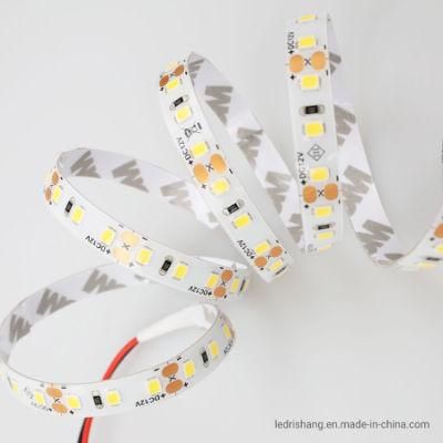 120LEDs DC12V 6500K Flexible LED Strip CE RoHS IP65 Waterproof Silicone Spraying Flexible LED Strip