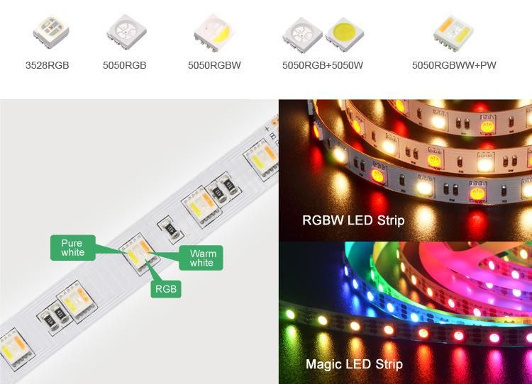 IC Built-in Programmable Outdoor Light Full Color LED Strip Lights