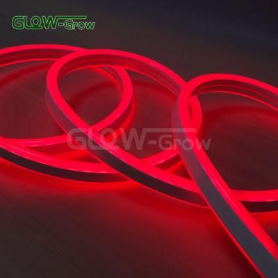 Project Use IP65 5050 Double Side LED Neon Flex Light Strip Light for KTV, Bars, Party Decoration