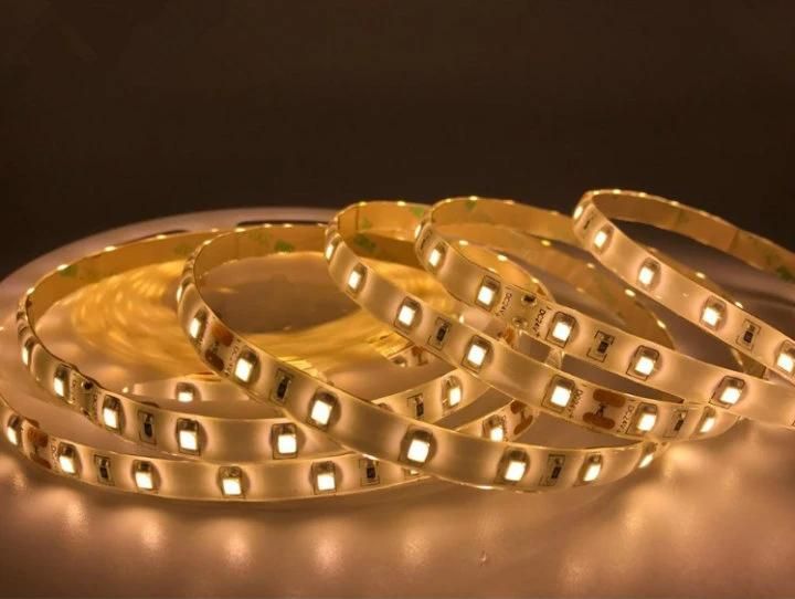 DC 24V/ 12V2835SMD IP20 IP65 60LEDs High Efficiency LED Strip Lamp with Epistar Chips for Industrial String Lights