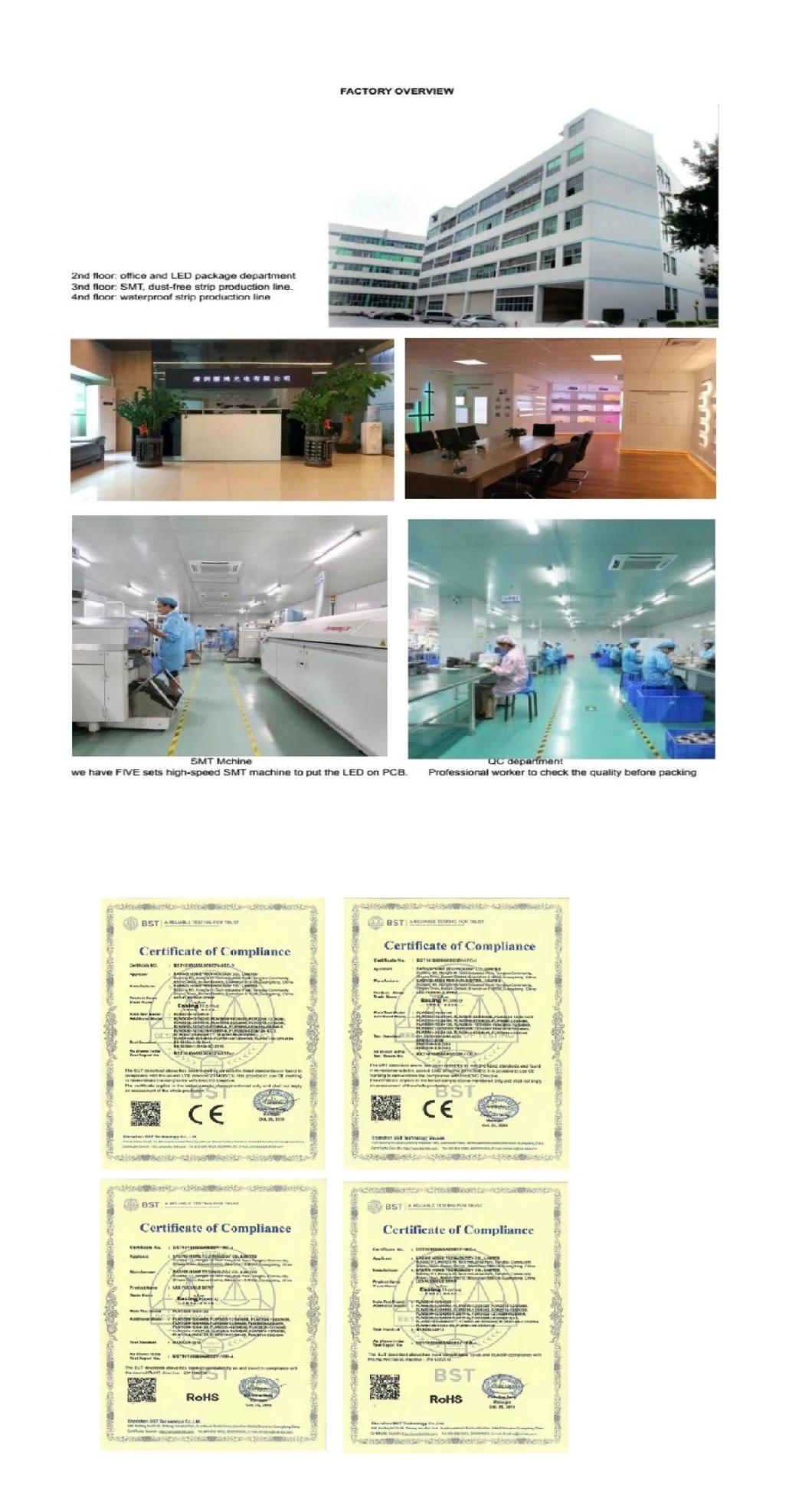 Ap302 IP67/IP68 Waterproof LED Neon Flex Strip Lights