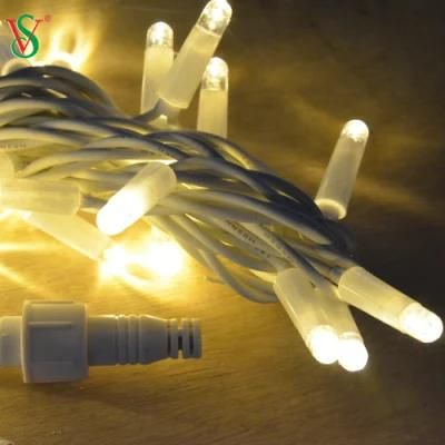 Most Popular LED String Fairy Light for Christmas Decoration