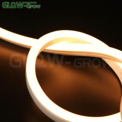 Waterproof 24V LED Neon Flex Rope Light for Stores Stairway Decoration (8*16mm)