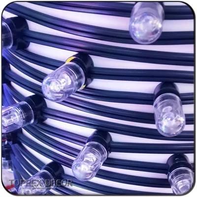 Garden Tree Wrapping Fairy Lights IP65 Quality String LED Clip Lights for Holiday Lighting