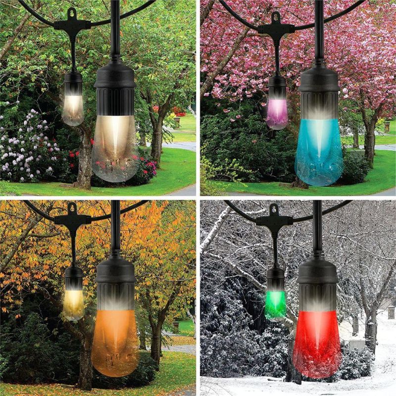 LED Warm White & Color Changing Cafe String Lights with Oil-Rubbed Bronze Lens Shade