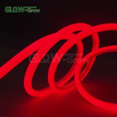 120V 360 Round Red LED Neon Flex Light for Doors House Park Project Decoration