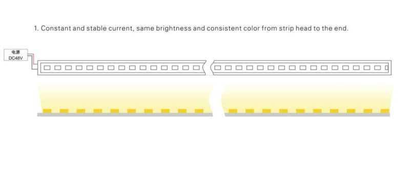 DC48V Constant Current CTA LED Strip 30m Single Run