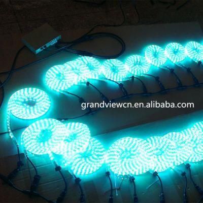 100m Waterproof DMX RGB LED Rope Light for Outdoor Decoration