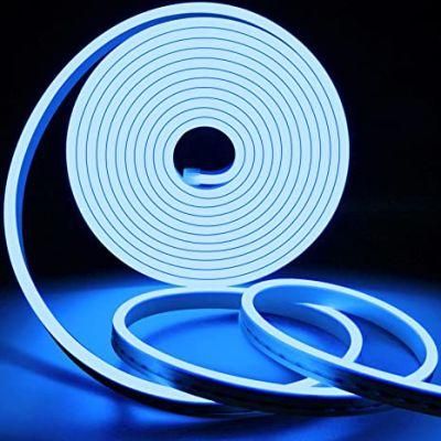 DC 12V LED Custom Blue Rope Light Sign 3D Letter Bar LED Neon Rope Light