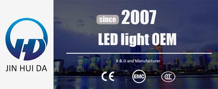 Customized Factory COB Multicolor RGB LED Strip Light