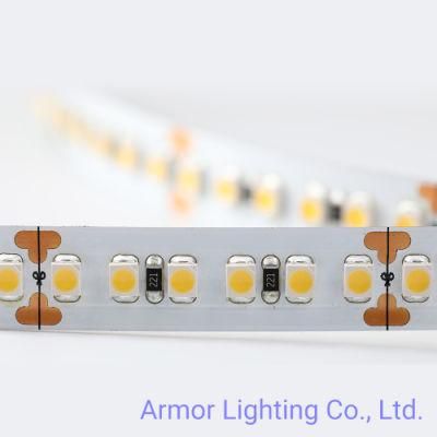 Manufactor Direct Sell SMD LED Strip Light 3528 180LEDs/M DC24V for Home/Office/Building