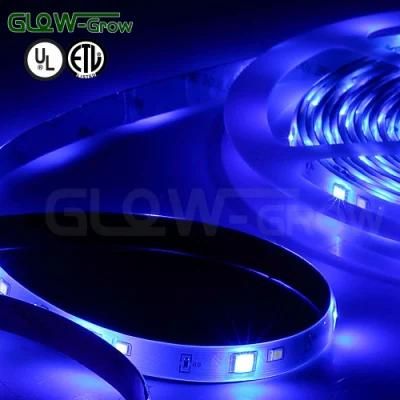 12V 5050SMD RGBW Flexible LED Light Strip 16.4 FT Reel Kit