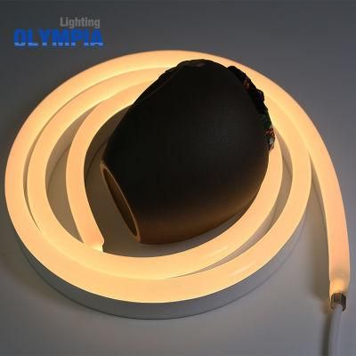 SMD5050 Strip String LED Neon 12W Underwater Light IP68