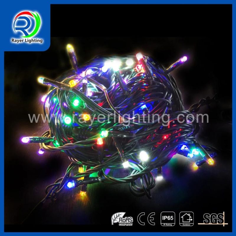 Holiday Decoration Outdoor Lighting LED String Light