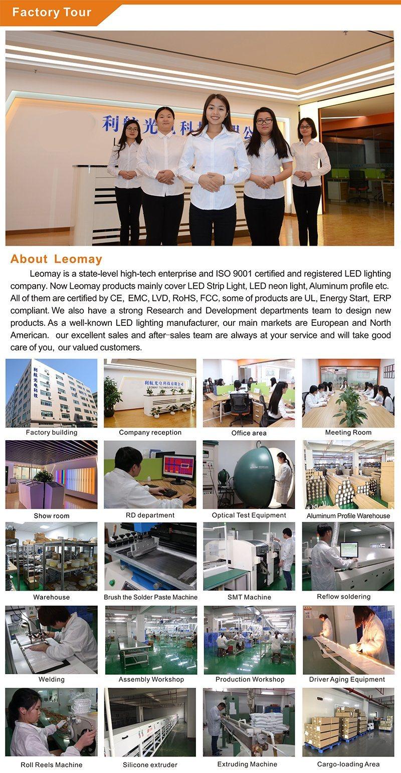 High density LED light 240/300LED Per Meter LED Strip For Hotel
