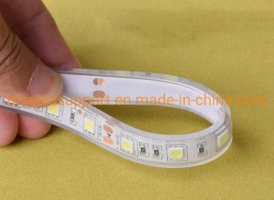 Swimming Pool Lights IP68 Underwater LED Light Strip Waterproof SMD5050/2835 Solid Silicone LED Strip Light DC24V