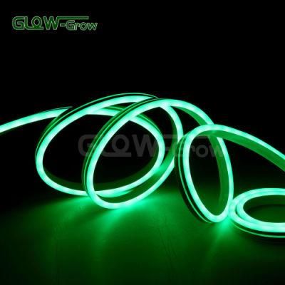 24V IP65 Waterproof Magic Chasing LED 5W/M Dream Neon Flex Light (8*18mm)