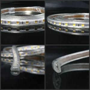 Multi-Color High Voltage 5050 LED Strip 110V/220V R/G/B/W/Ww/Y