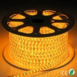 Shenzhen Factory Direct Sale 5050 LED Strip Light