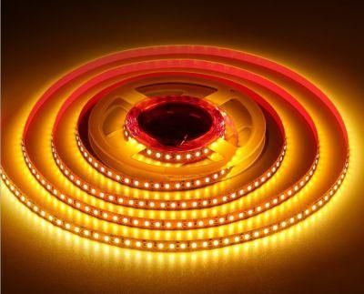 12V Bare Plate Process 2835 LED Strip Light Tapes