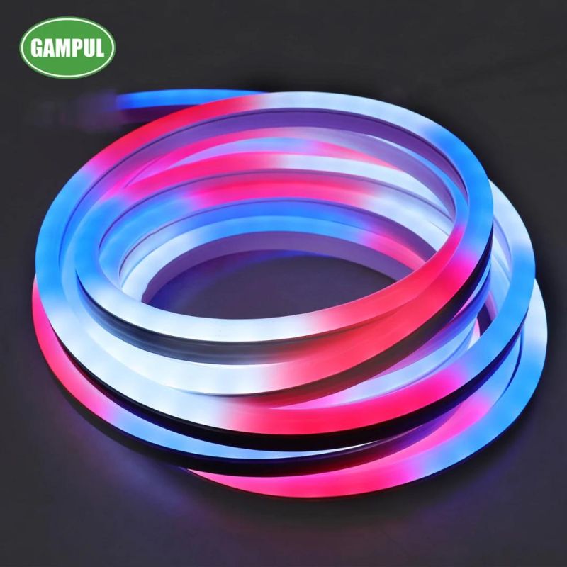 LED Neon Certificated 60W RGB Flexible Smart LED Neon Light