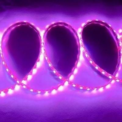 5050 Pink (m/60lights) LED Flex Light