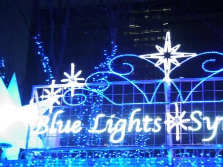 Christmas Decorative Twig Lights Traders LED Tree Decoration LED Tree Lights